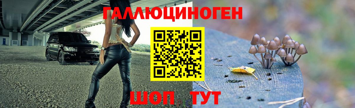 Галлюциногенные грибы Magic Shrooms  как найти закладки  Учалы  Вход с VPN 