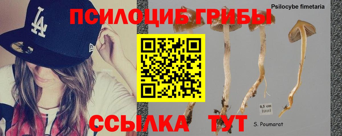 Псилоцибиновые грибы прущие грибы Учалы